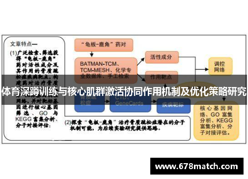 体育深蹲训练与核心肌群激活协同作用机制及优化策略研究